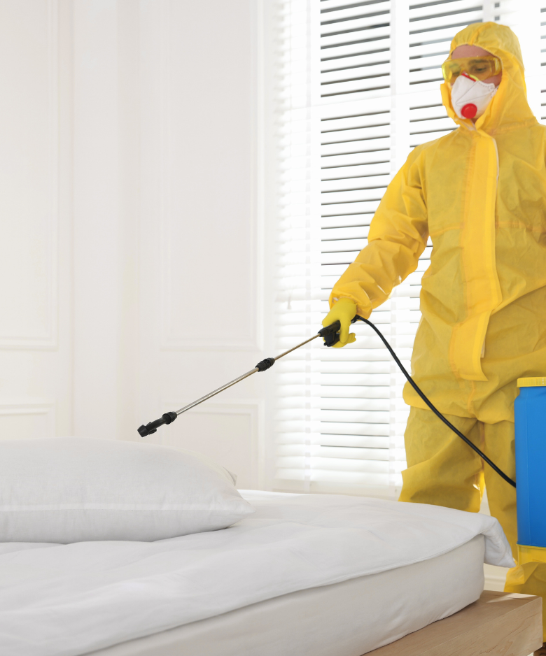 Professional Pest Control Team in Mile End South